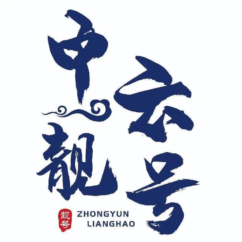 中云数字