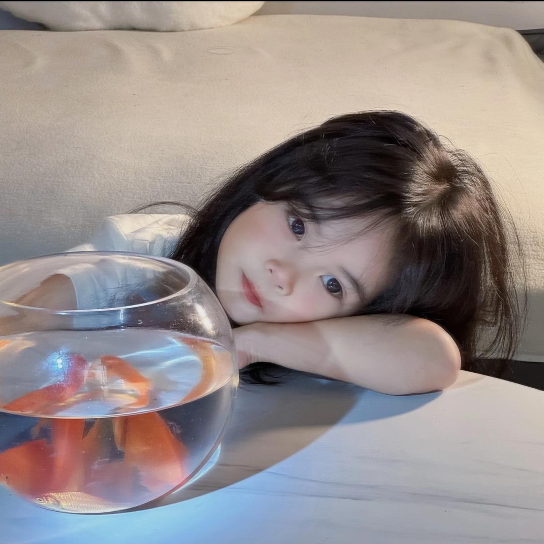 金鲤宝儿