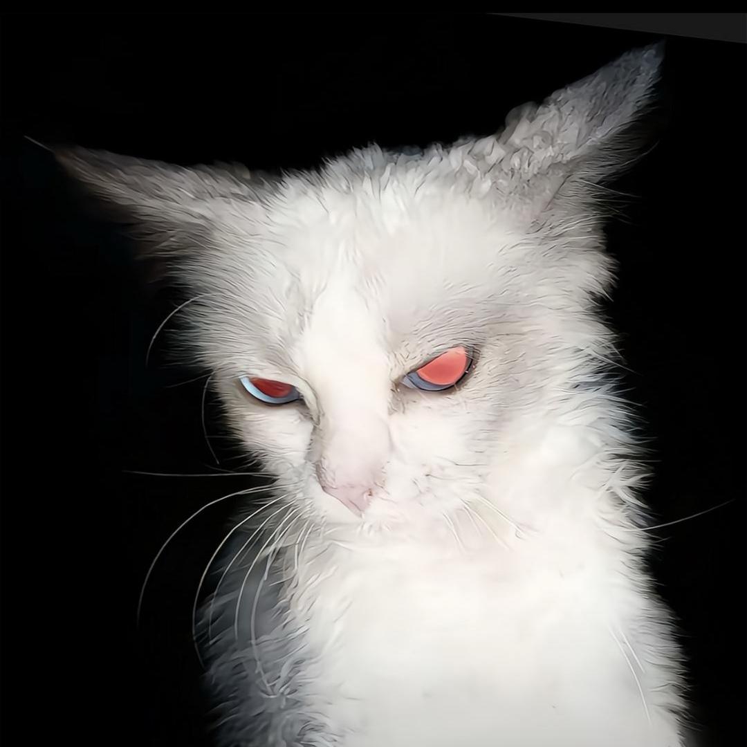 𝑯𝒊𝒌𝑯
