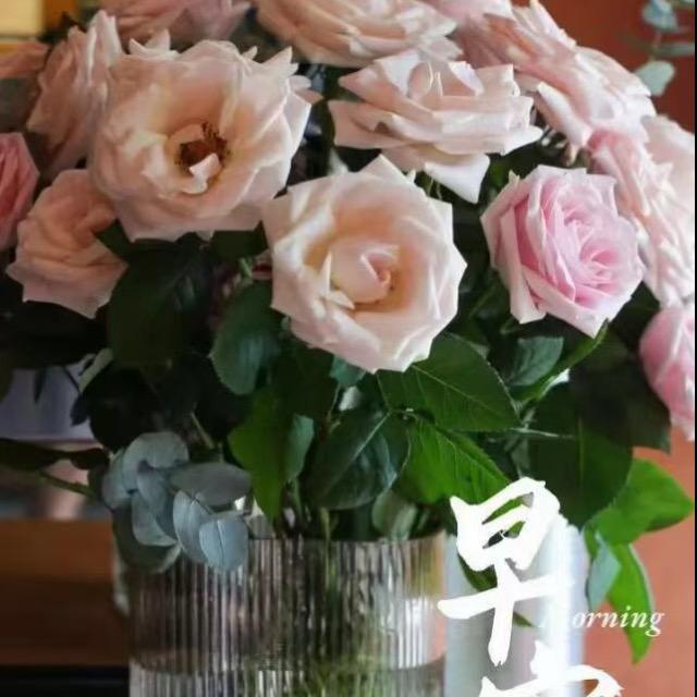 伟丰