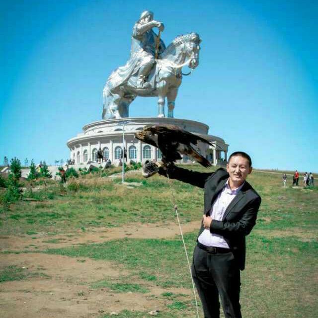 阿拉善布音蒙古奇石