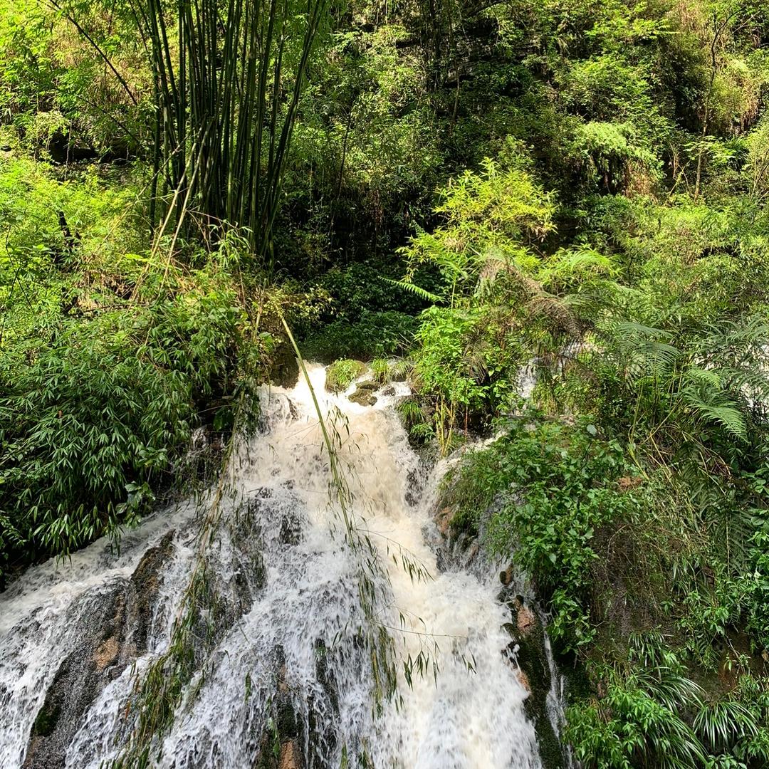 懒得起昵称