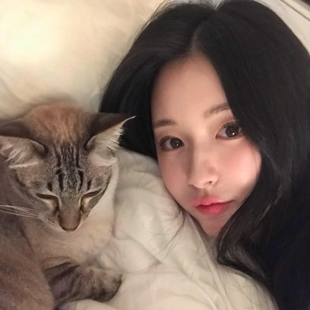 晚安的安