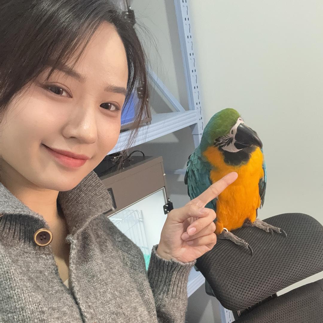袁袁宠物