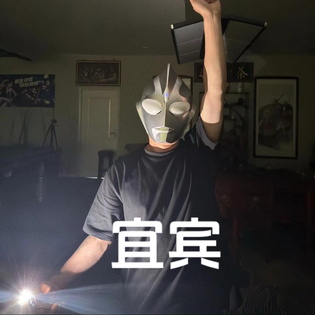 霸王龙🦖
