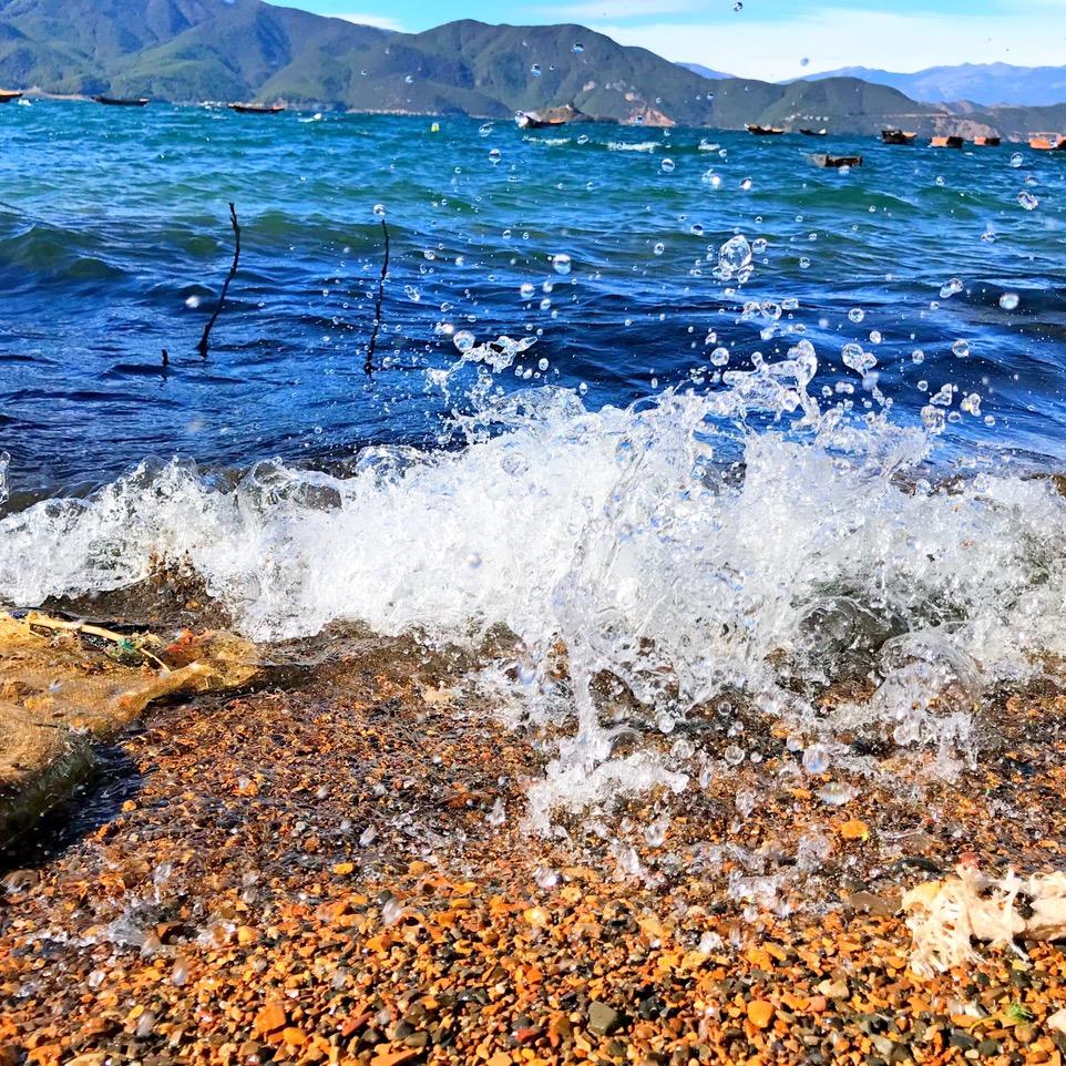 南方以南的文科