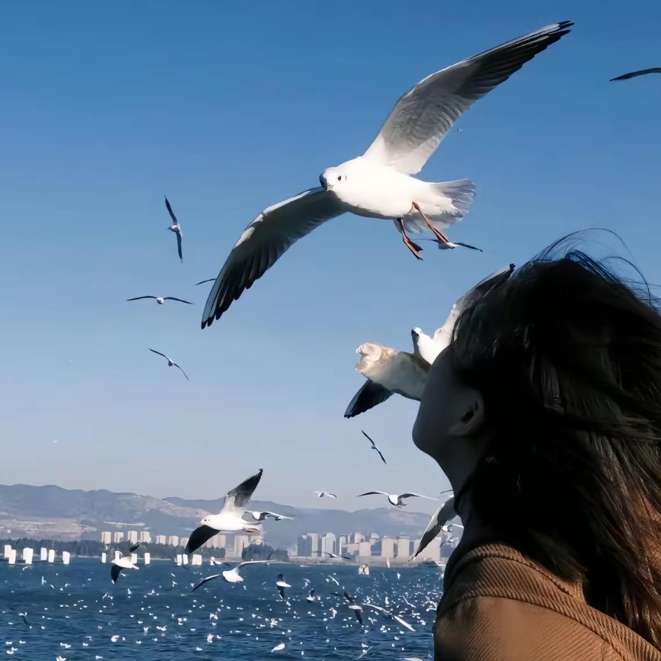 🌟浅陌