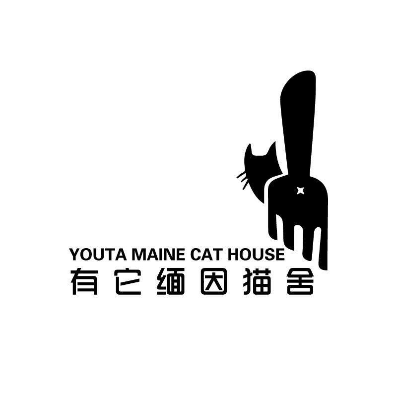 有它缅因猫
