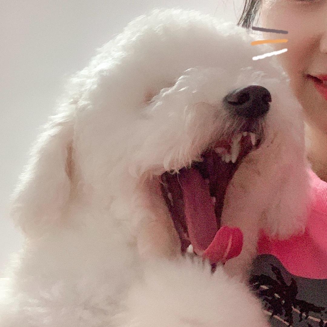 迷上又又