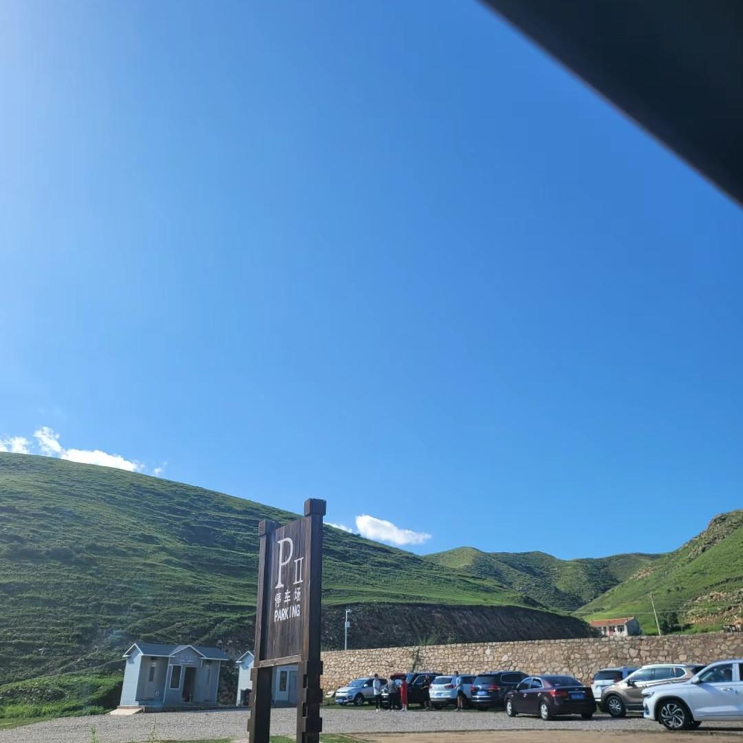 六百猫的生活日常