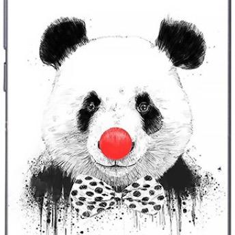 迷哥（小丑繁殖）