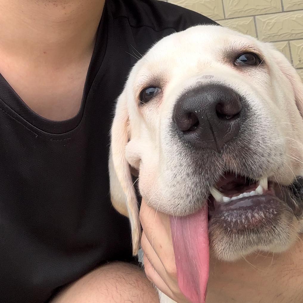 烬余雷（柒喜与火火-俩班味狗）