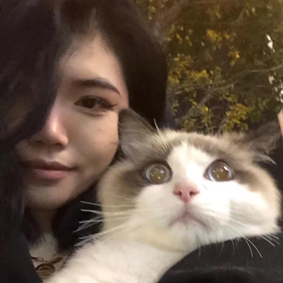 红烧猪蹄