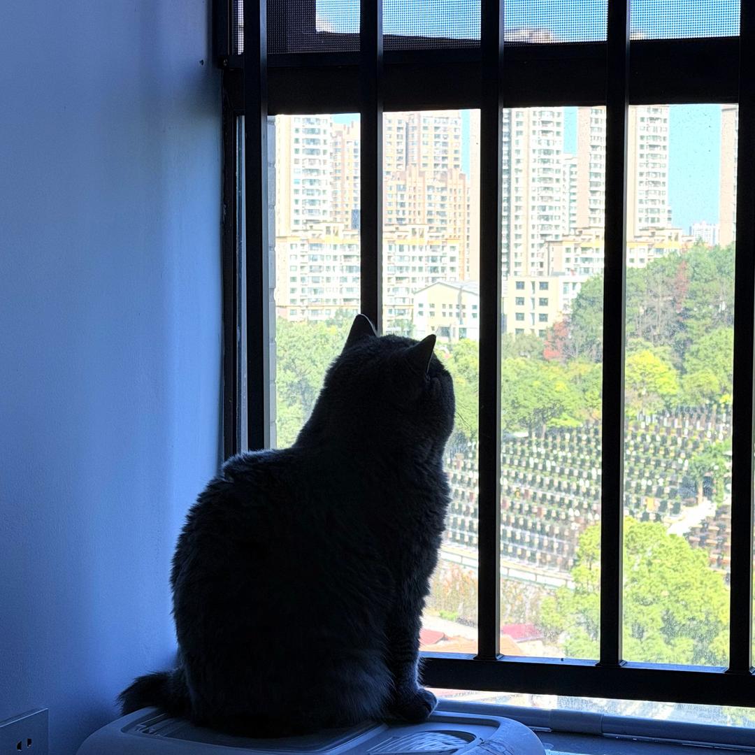 山河