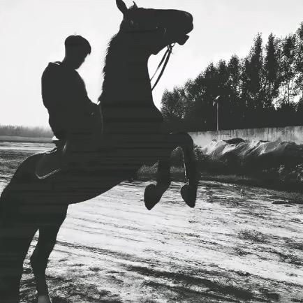 一路寒风身如絮