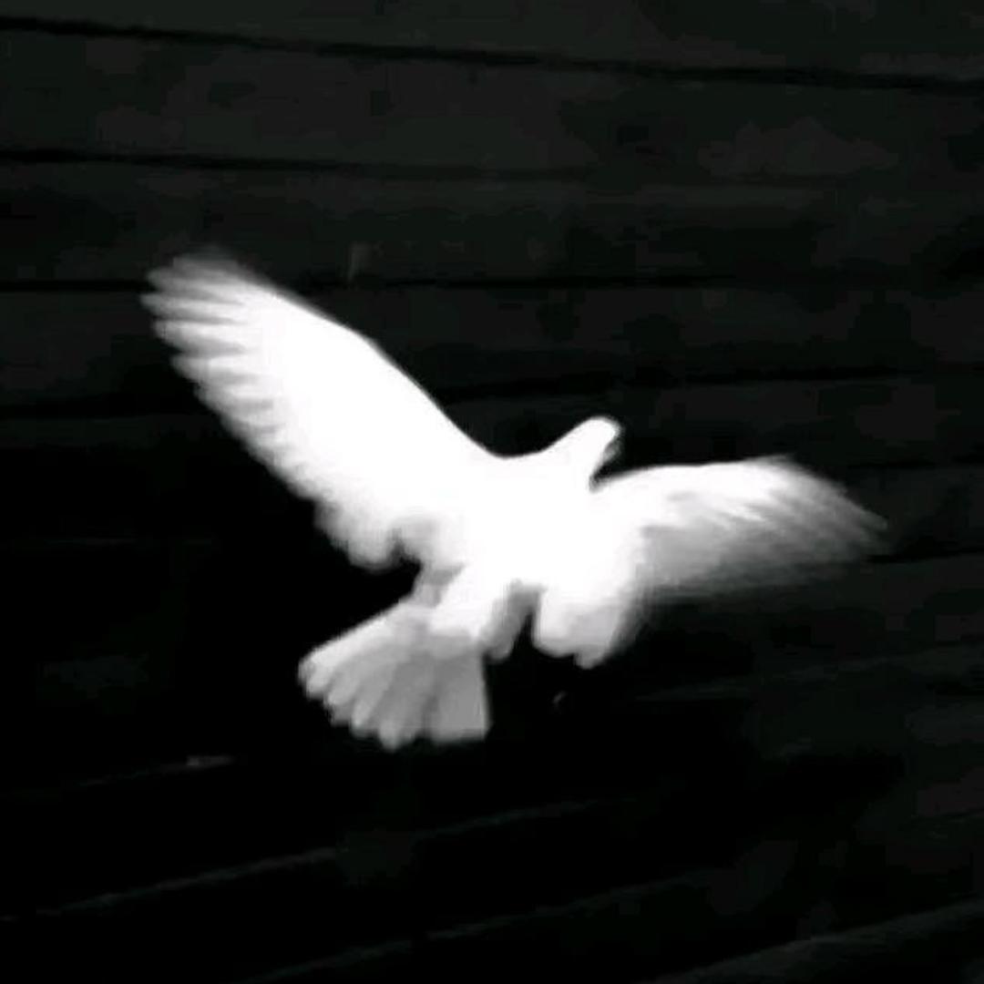 极