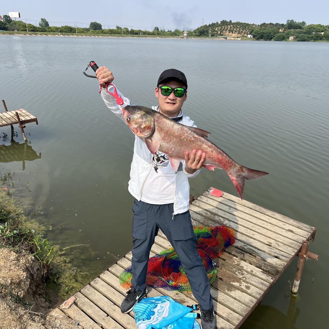 牛牛-不钓美人鱼