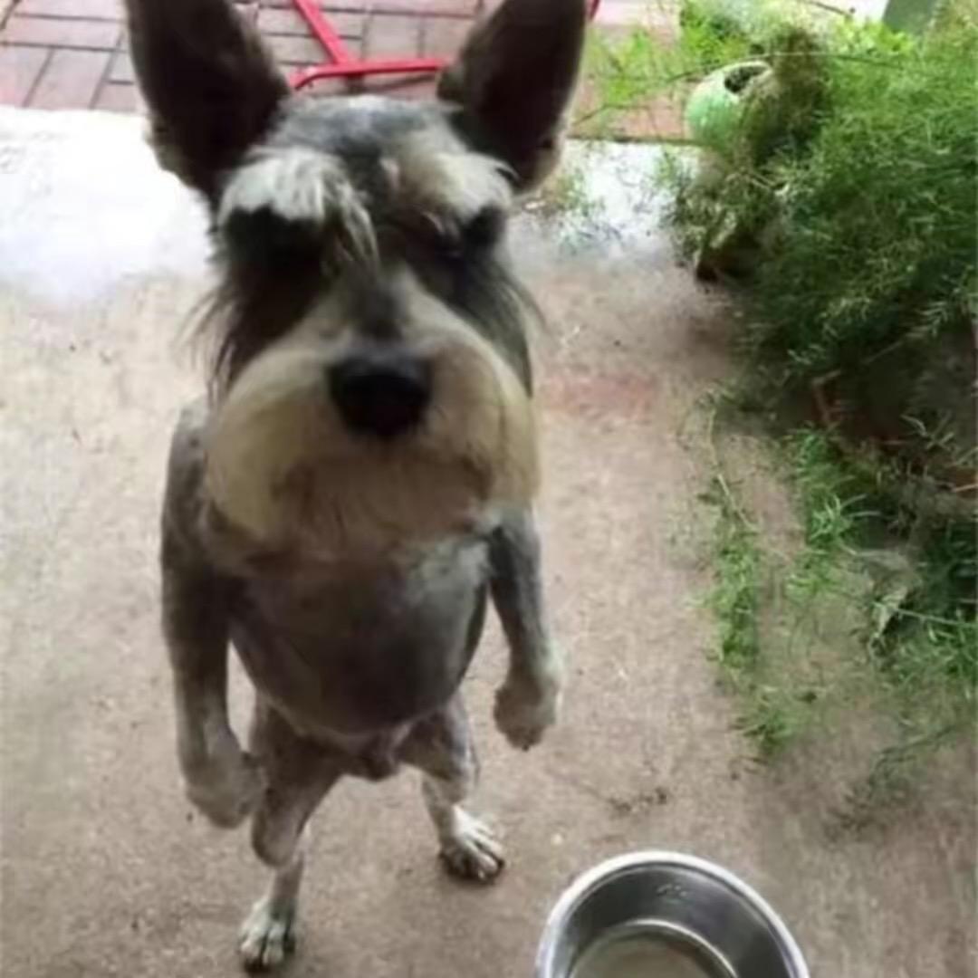 别走饭桌上说再见          🐜