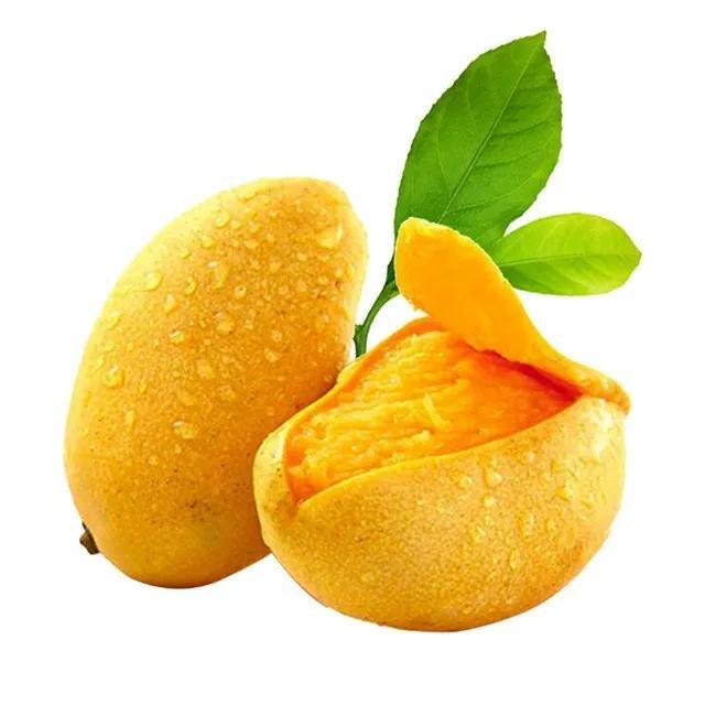 吗喽吃水果（芒果）