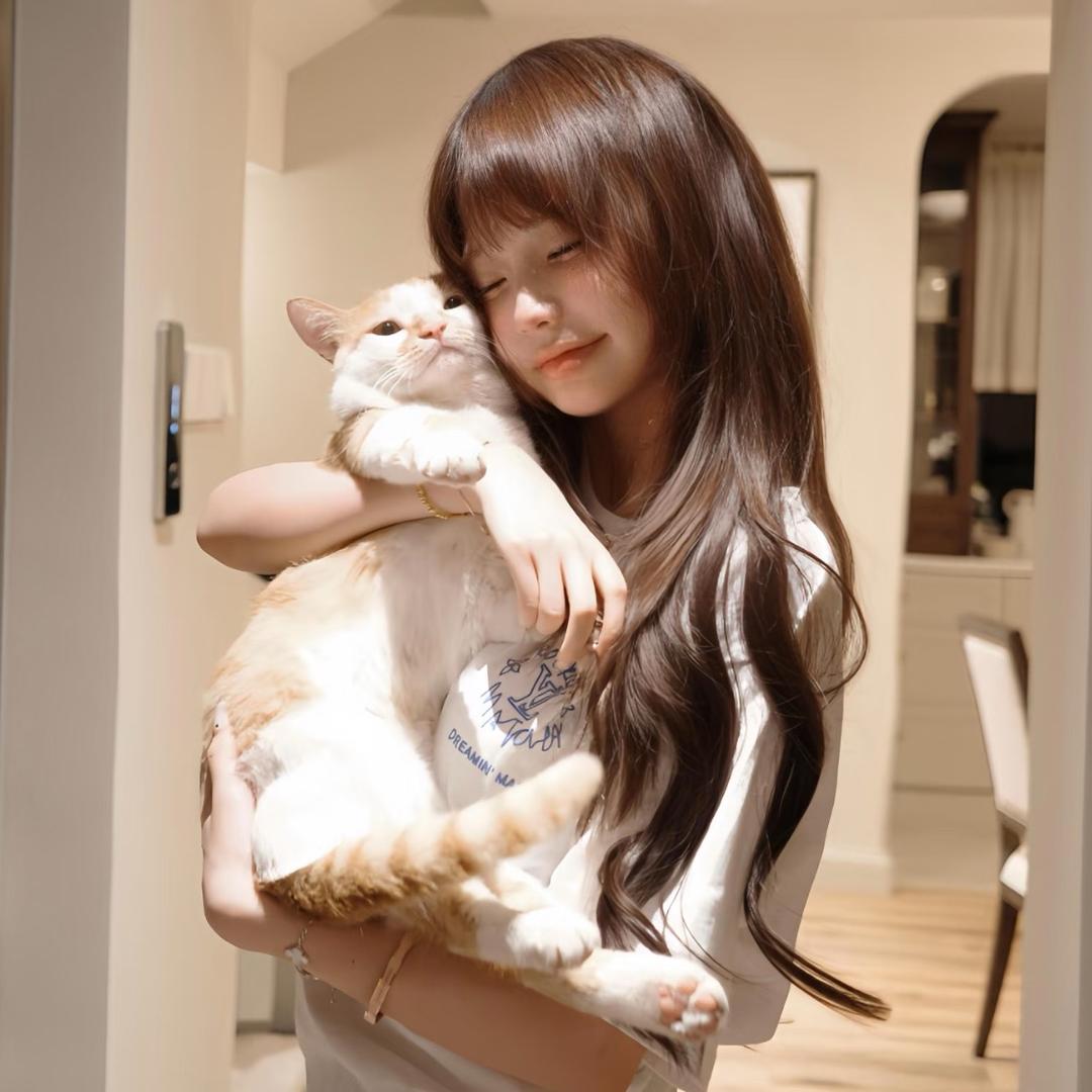 芋头猫