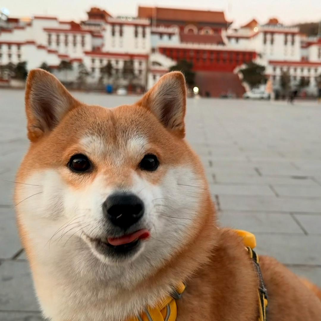 拾月
