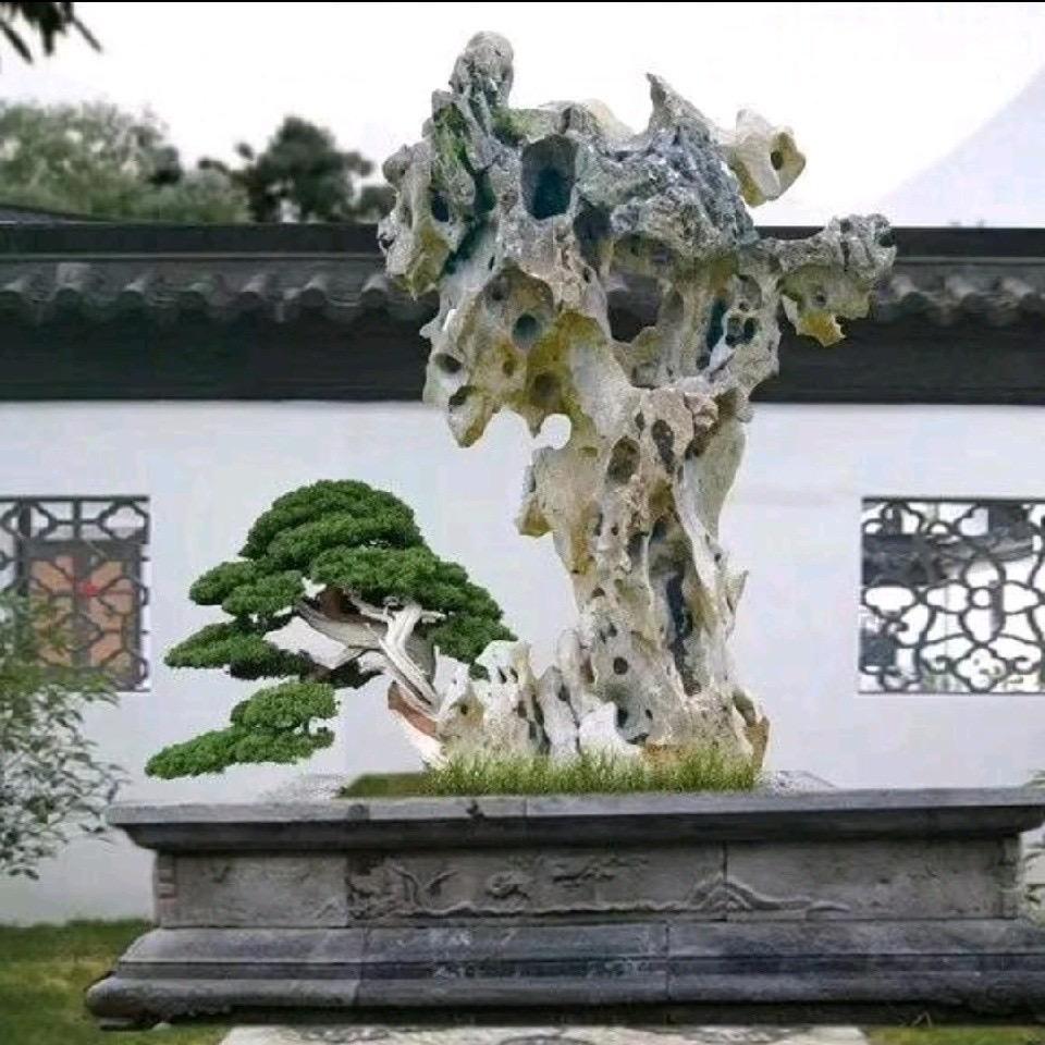 马超•古玩初学者🙏