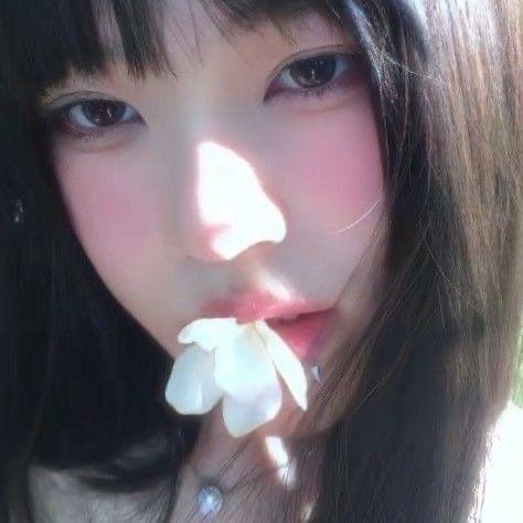 少来探究我