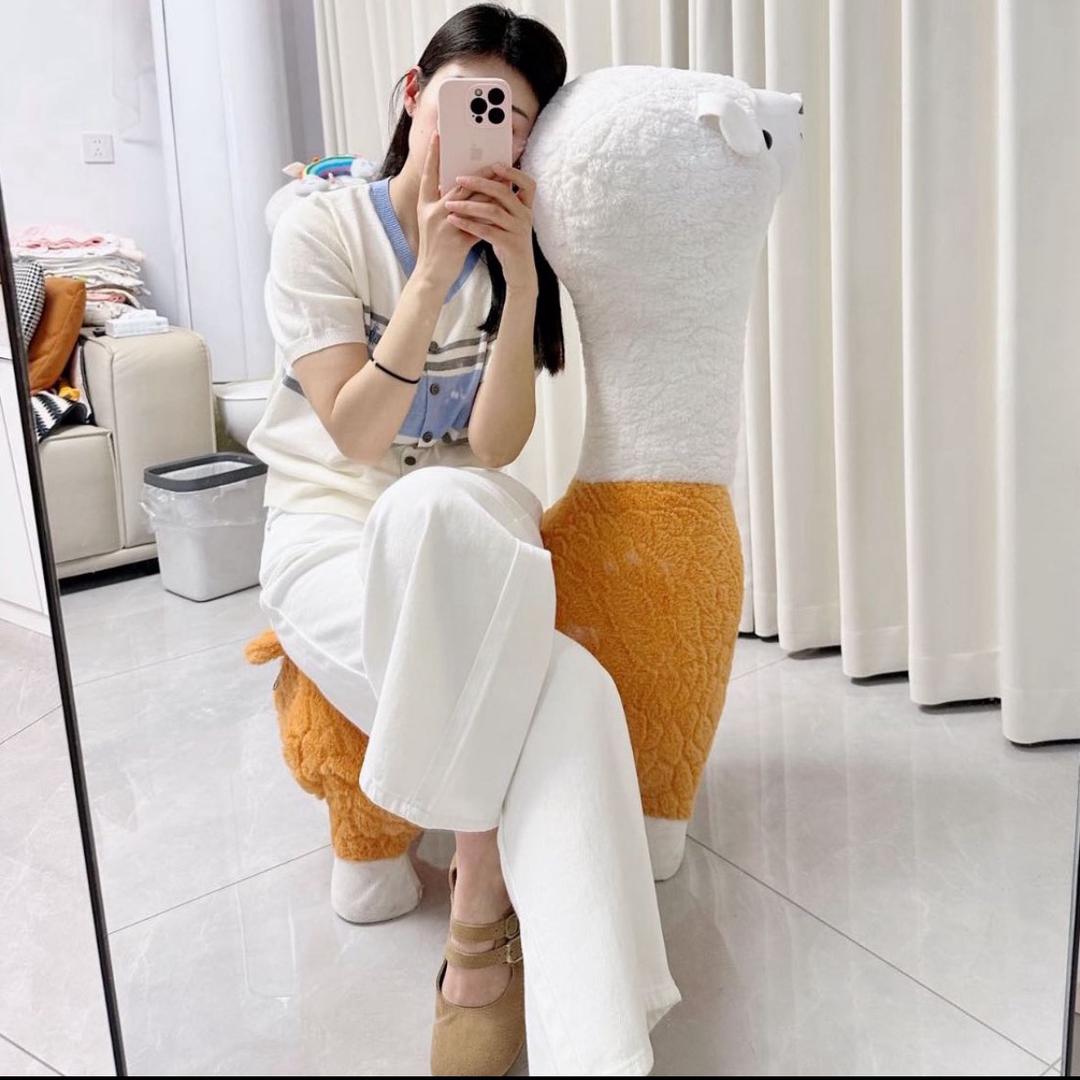 小锦鲤、