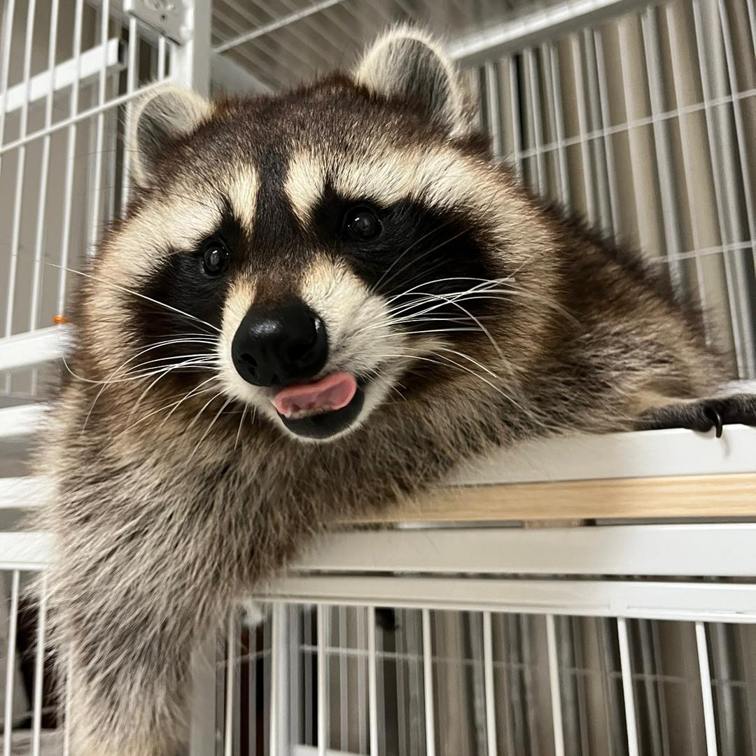 晓晓的日常