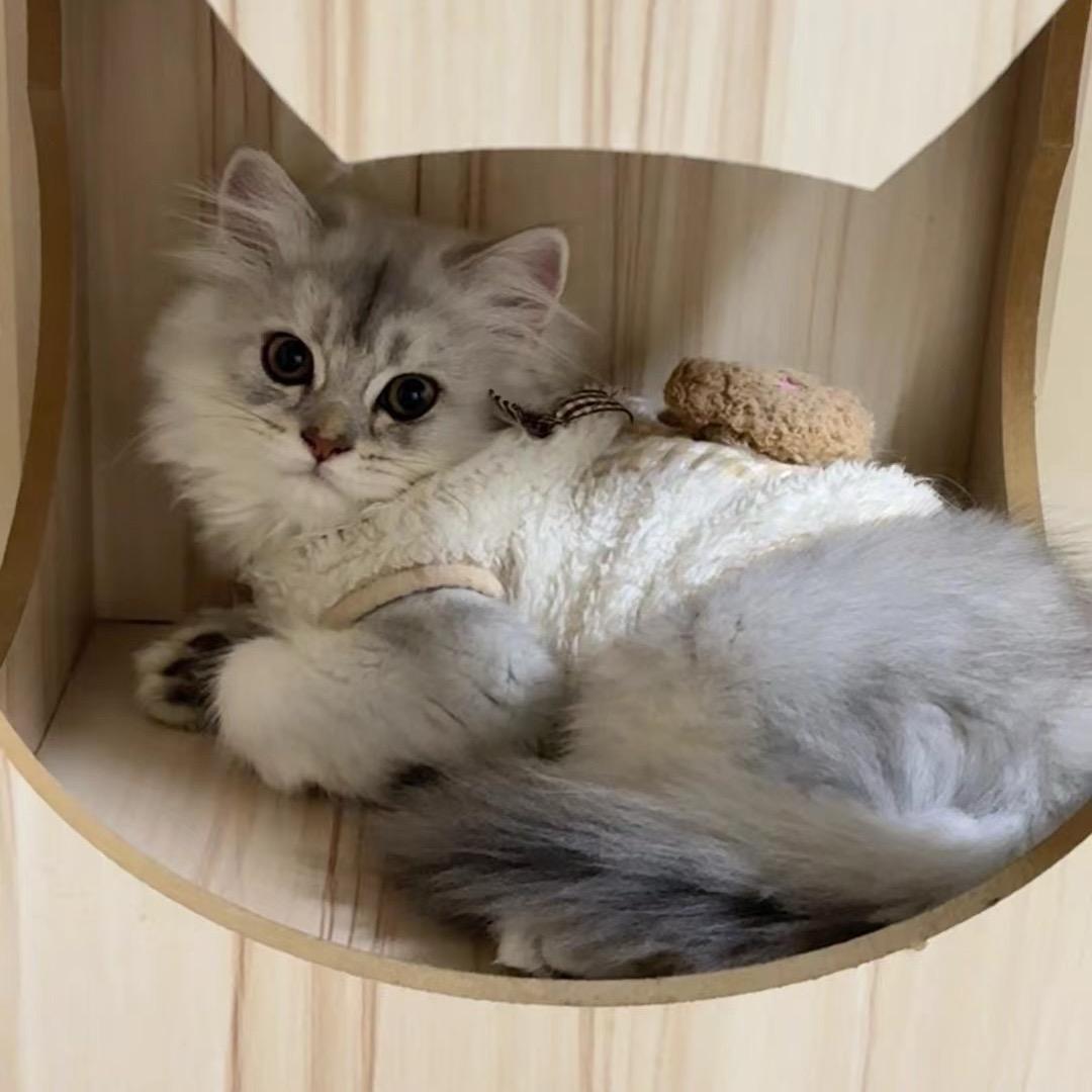 天生好运