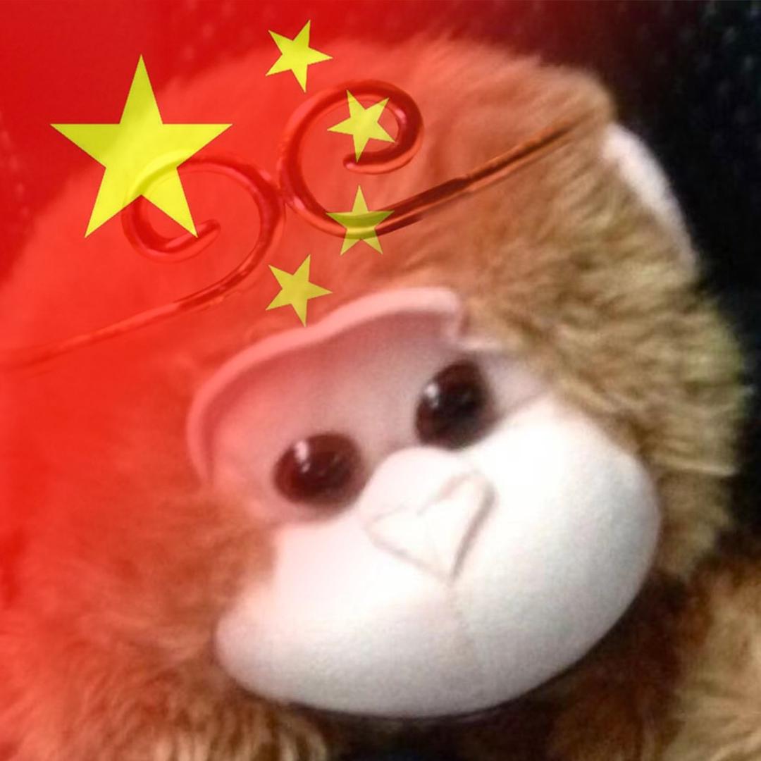 悟见拾光