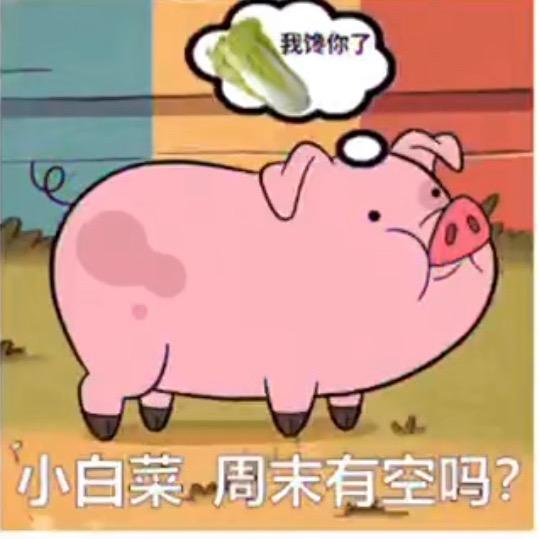 00少妇的执着