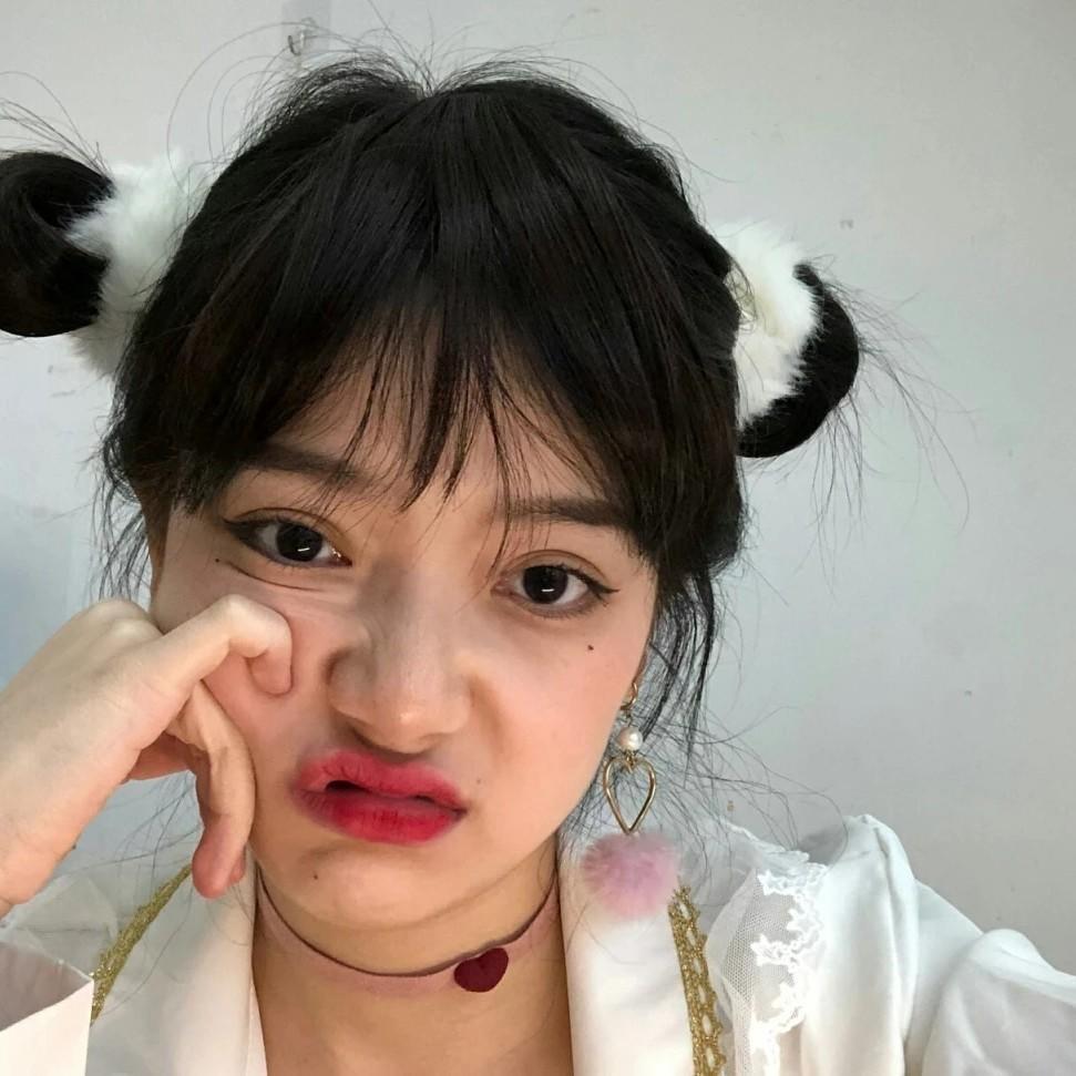 叮咚小喵