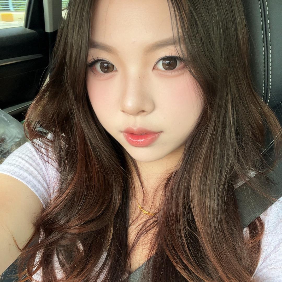 蚊蚊SIA