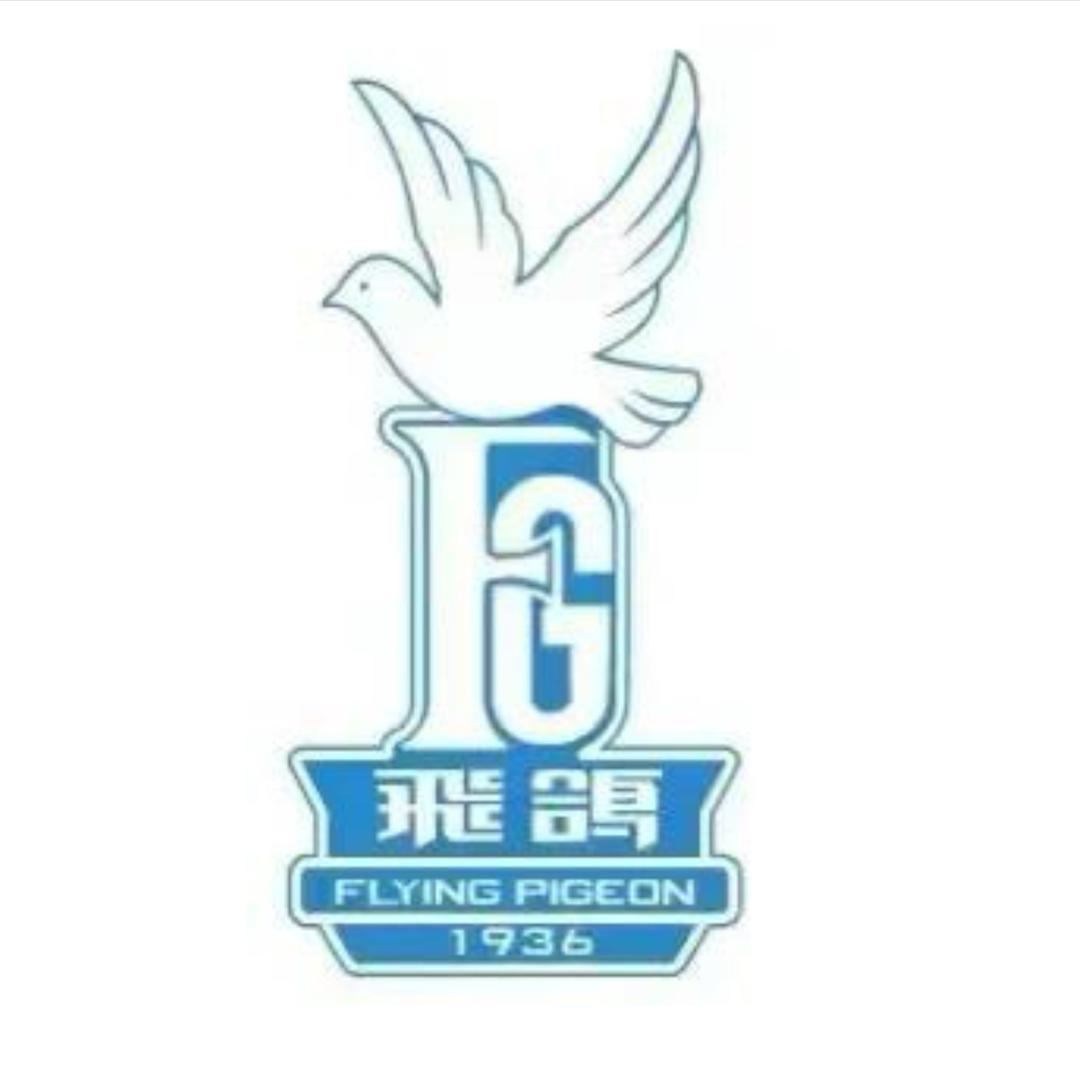 飞鸽红鹰自行车专卖店