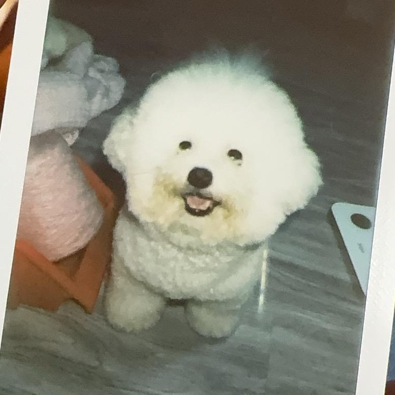 爱吃烧烤的噗噗