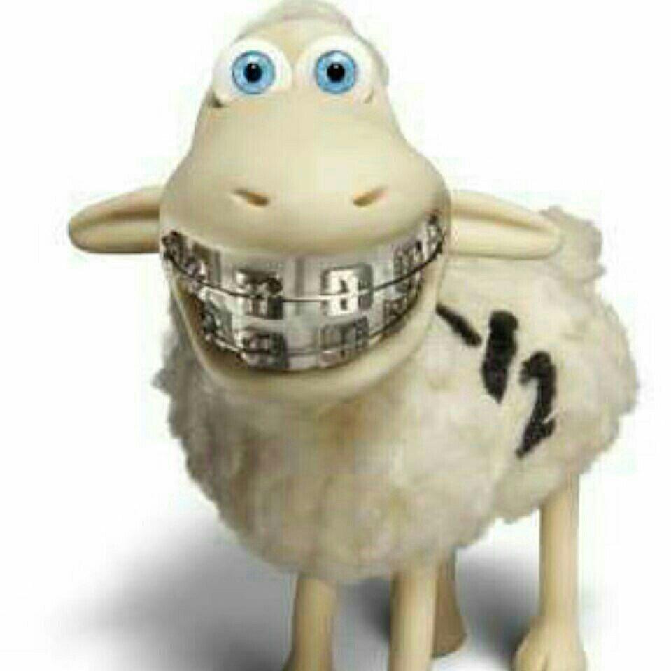 🍎🍏🍎天意🍎🍏🍎