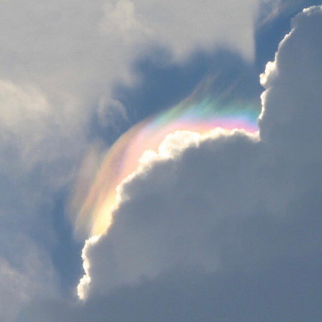 July🧸（学习中）