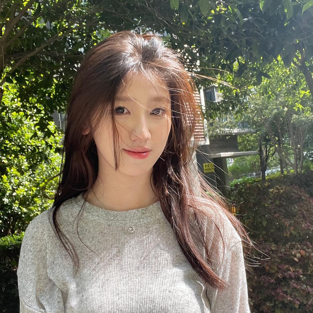 长颈羊驼🦙