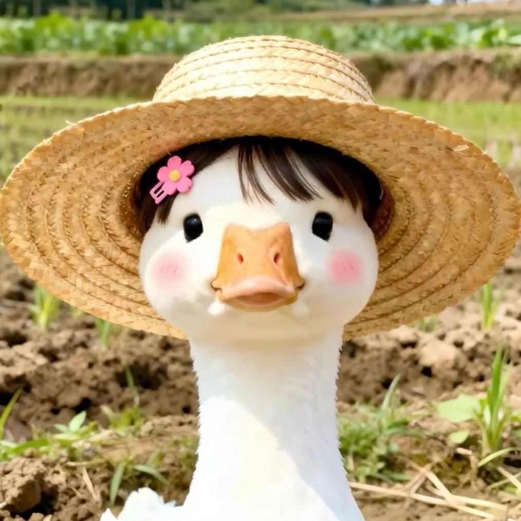 小明儿