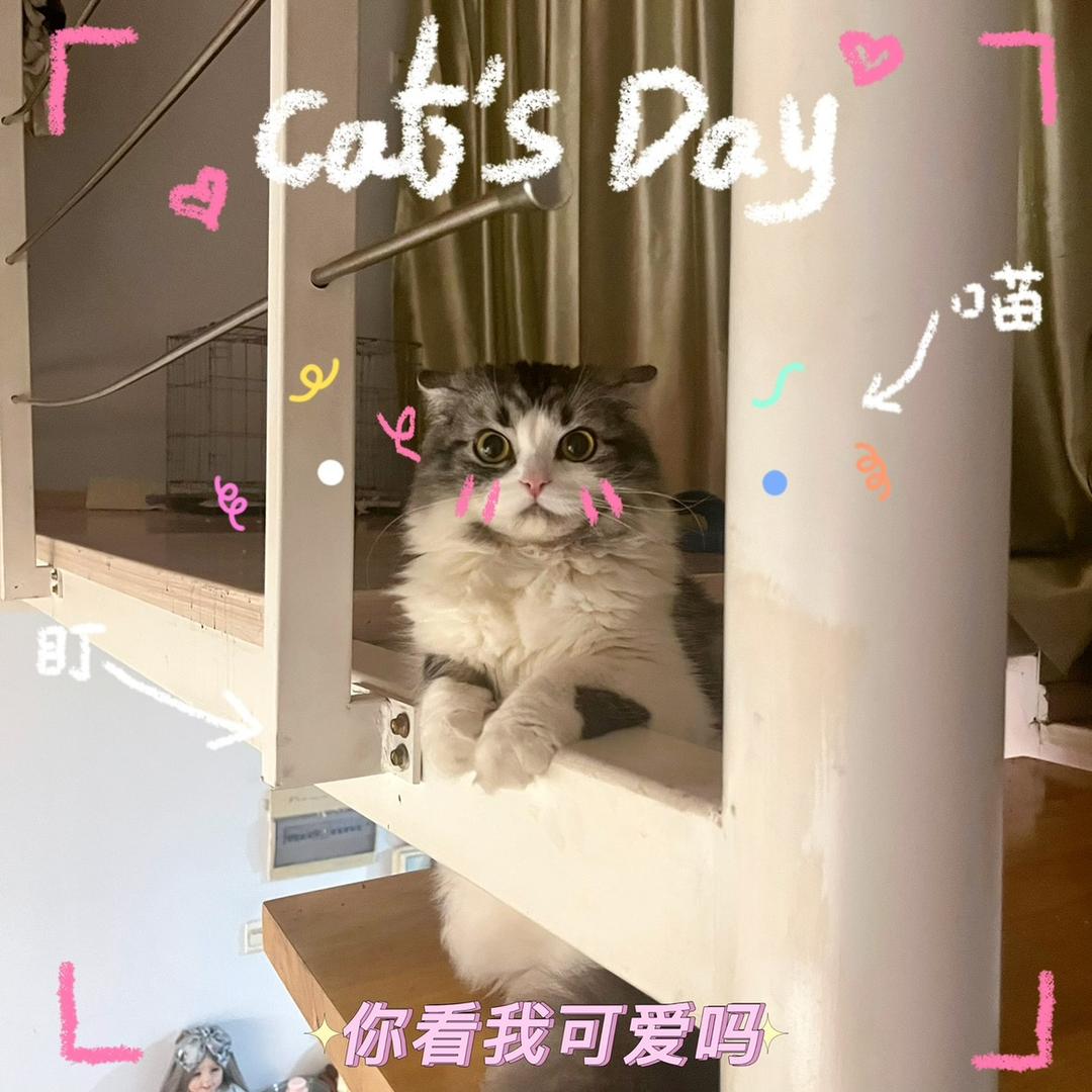 小李同学