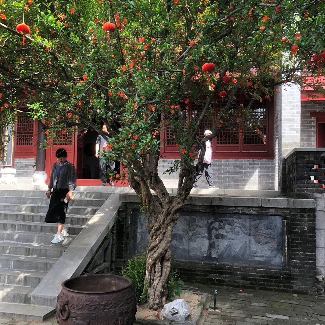 荥阳市站稳园林园艺