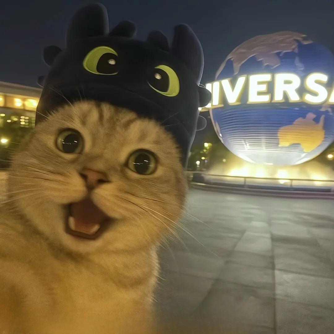 一天三顿拼好饭