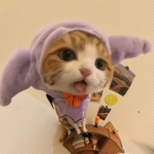 涵.