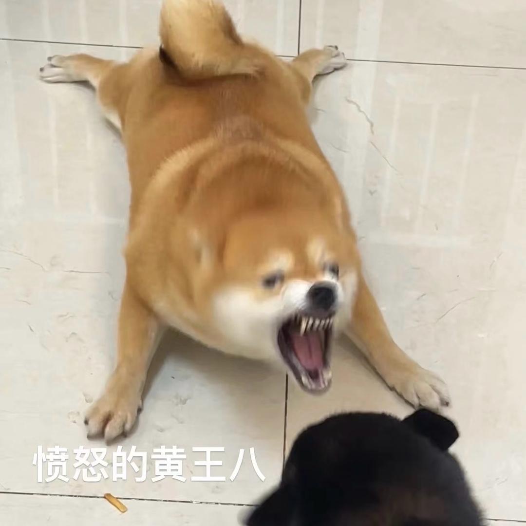 佐佐