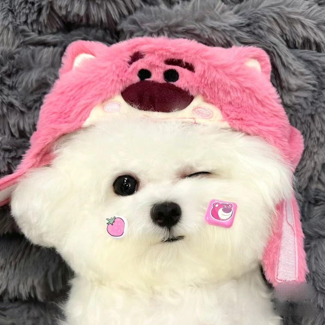 媛baby.