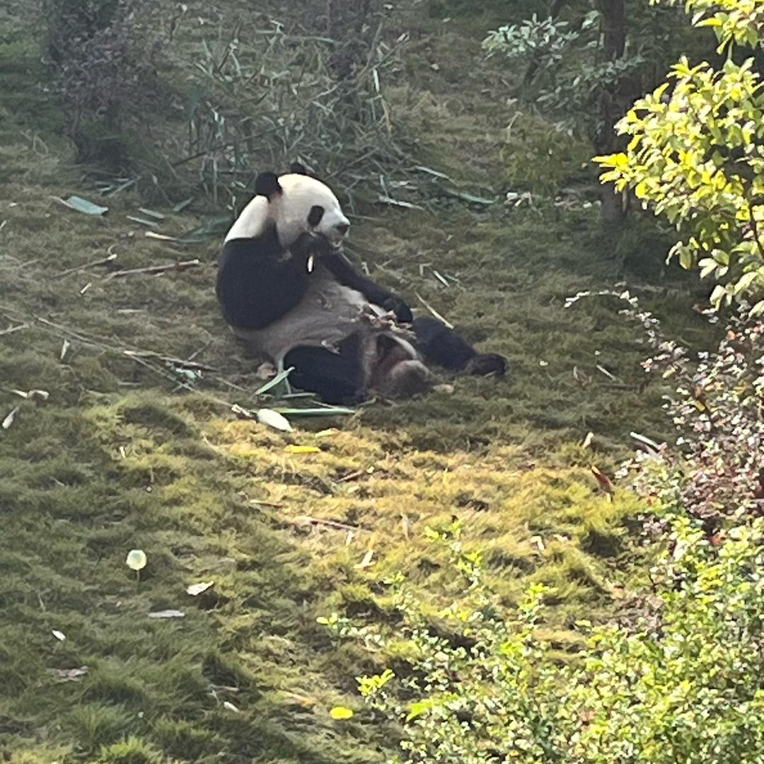 5V（伍烧烤夜宵，晚餐）