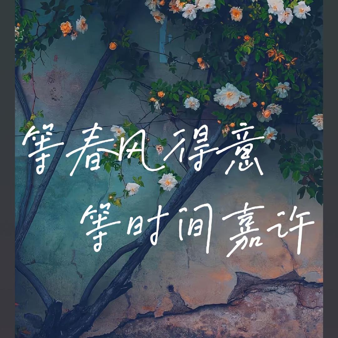⛰️爱笑&吖²⁹⁴ 🎠
