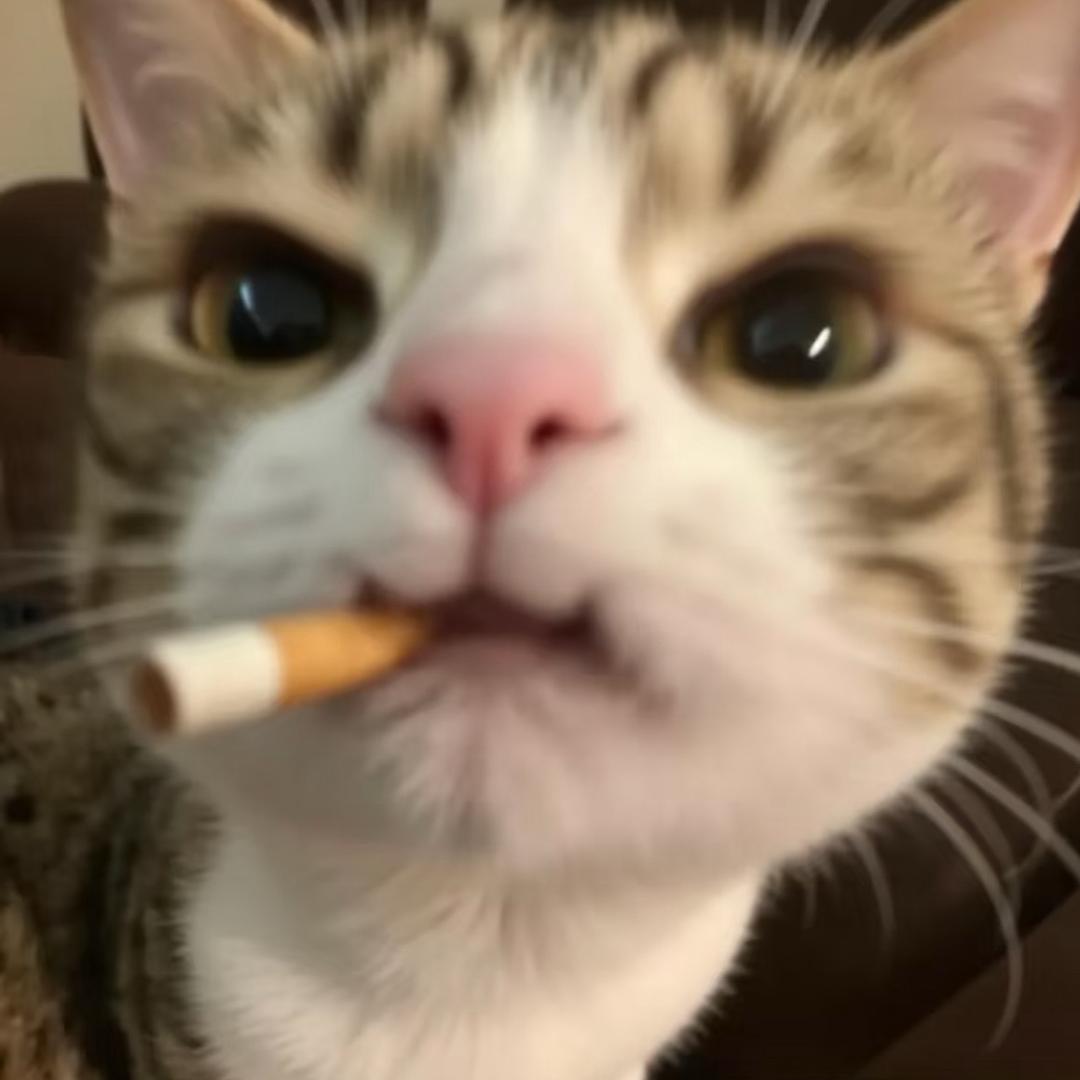 好想一口全部吃掉