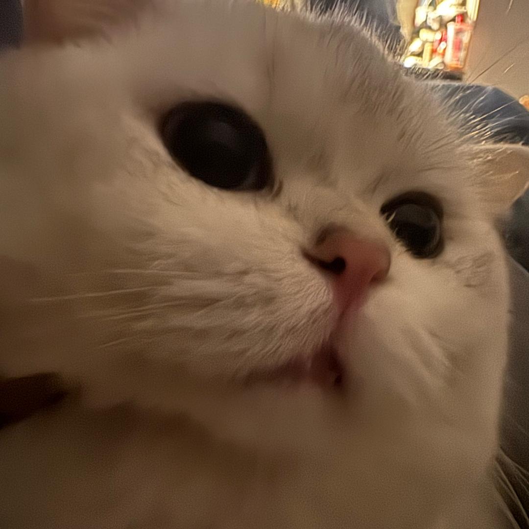 十七有点嗲